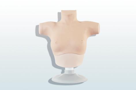 乳腺癌觸診、視診訓(xùn)練模型